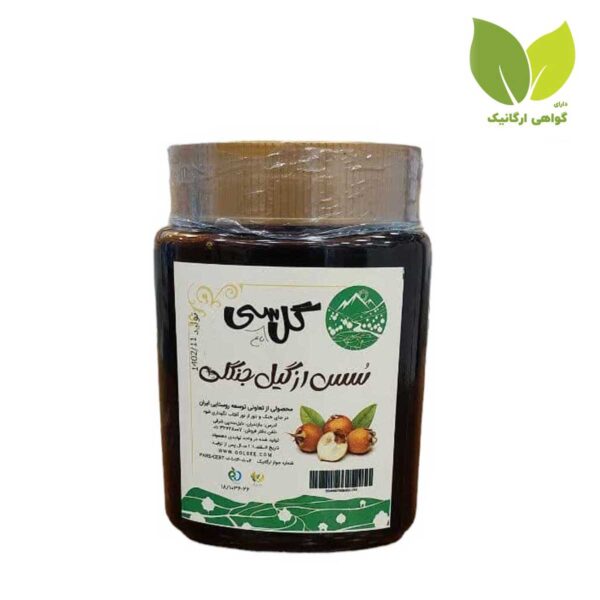 Gol Bagh Si organic medlar sauce 600gr 1